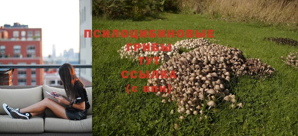 хмурый Баксан