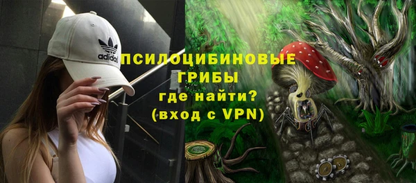 прущие крисы Балахна