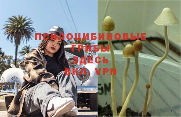 прущие крисы Балахна